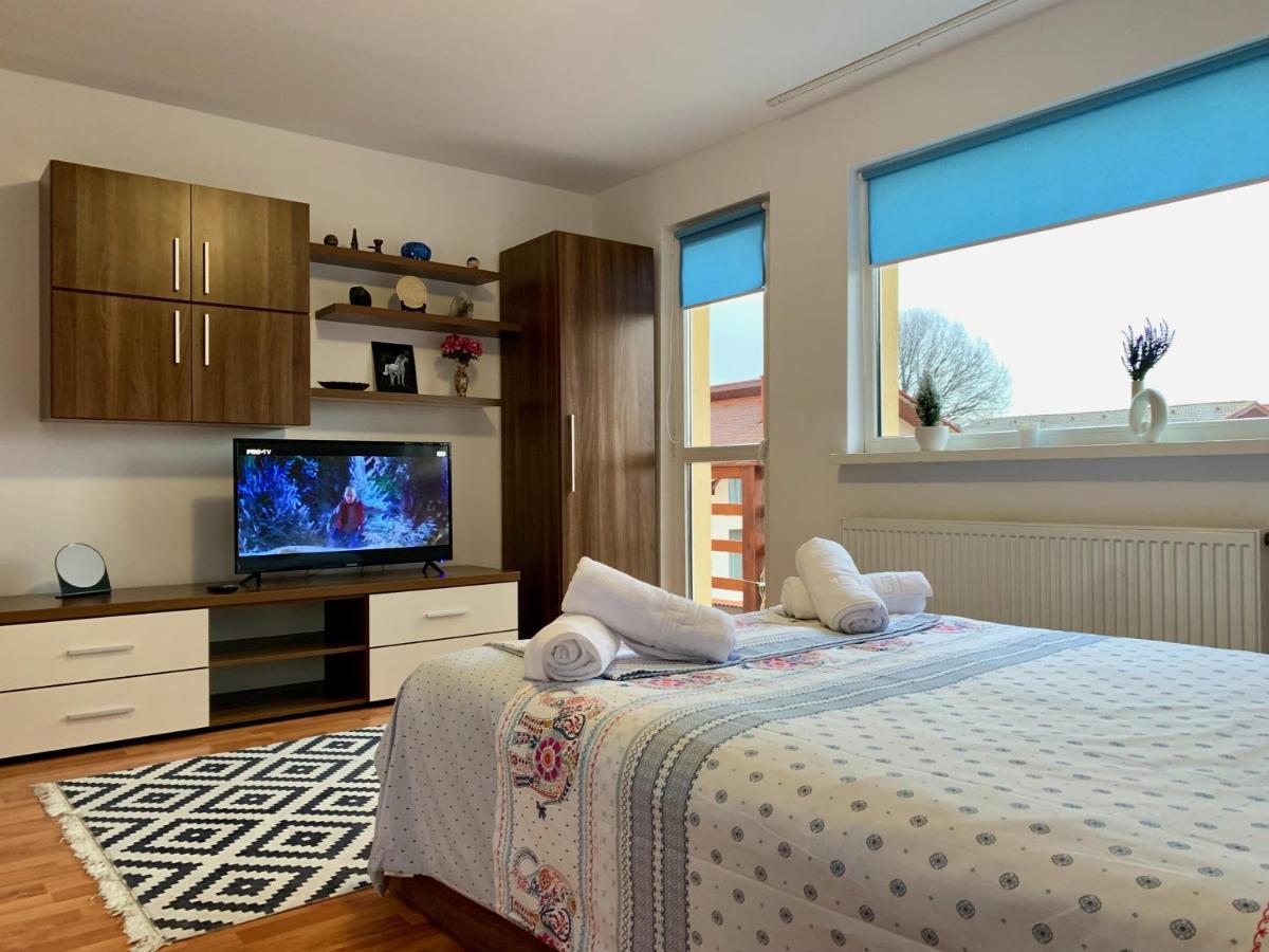 Casa Costache Holiday home